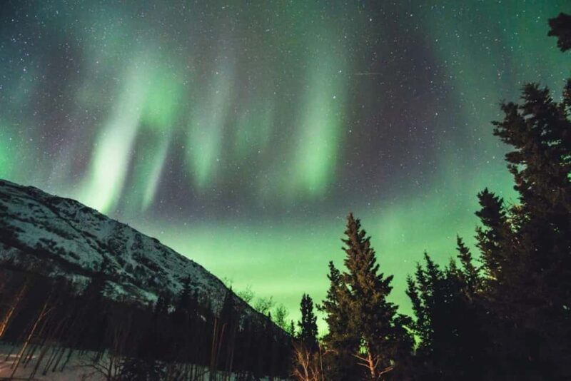 Sälen: Northern Lights Snowshoe Adventure with Pickup - FAQs