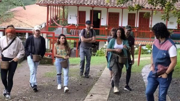 Salento and Cócora Tour Coffee Farm From Pereira/Armenia - Booking Process