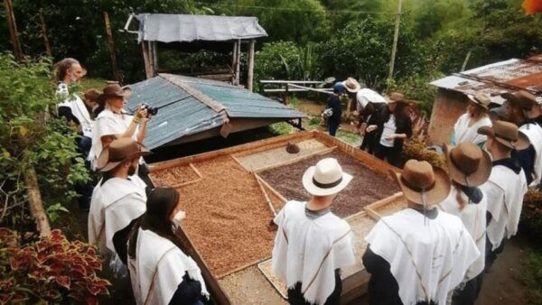 Salento and Cócora Tour Coffee Farm From Pereira/Armenia - Highlights of the Tour