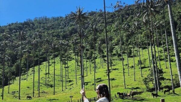 Salento, Cócora and Hot Springs Tour From Pereira or Armenia - Frequently Asked Questions