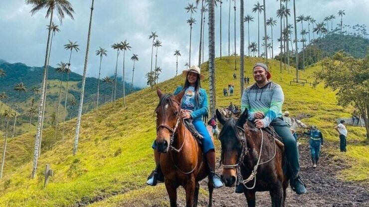 Salento, Cócora Horseback Riding From Pereira or Armenia - Activity Details