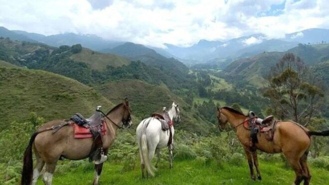 Salento, Cócora Horseback Riding From Pereira or Armenia - Booking and Reservation