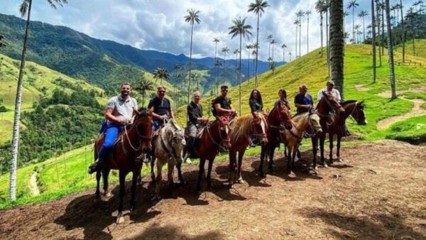 Salento, Cócora Horseback Riding From Pereira or Armenia - Directions to Cocora Valley