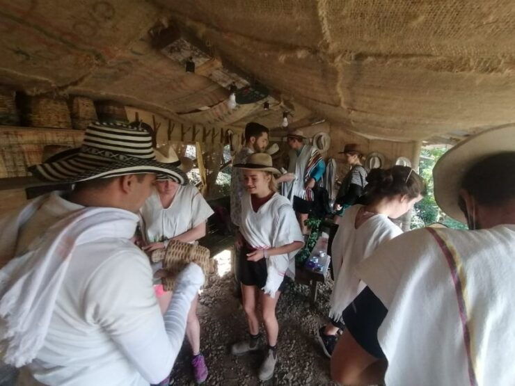 Salento: Cocora Valley Tour With Coffee Farm Visit - Tour Details