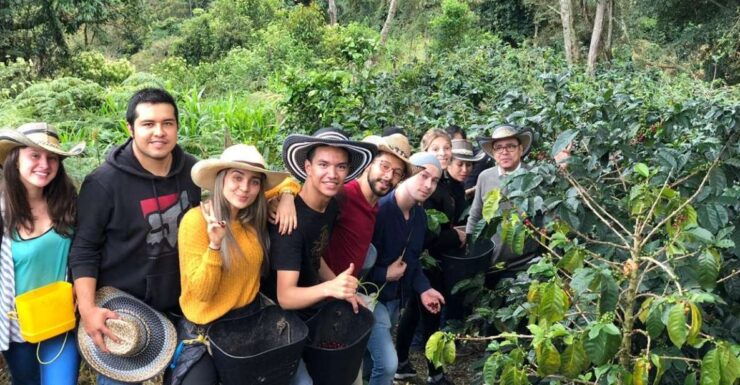 Salento: Cocora Valley Tour With Coffee Farm Visit - Experience Highlights