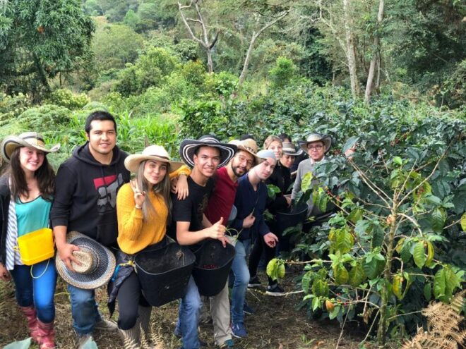 Salento: Cocora Valley Tour With Coffee Farm Visit - Directions