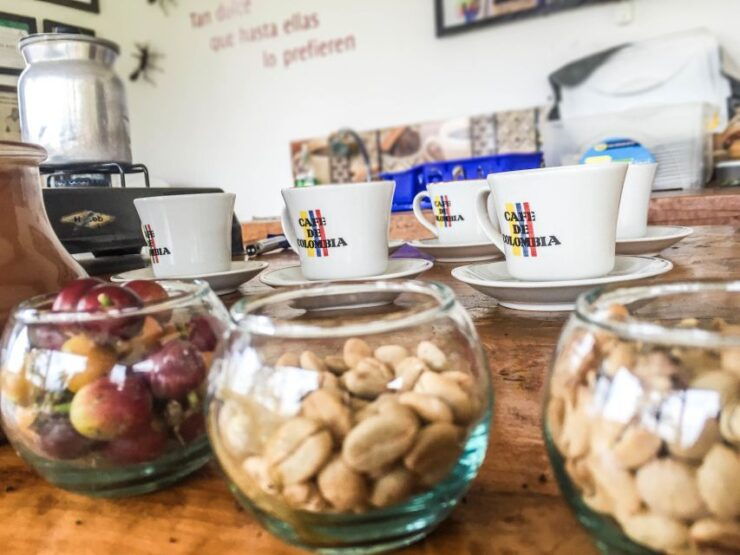 Salento: Coffee Tour at Finca El Ocaso - Good To Know