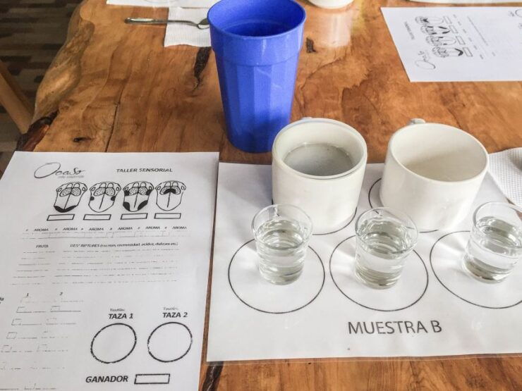 Salento: Coffee Tour at Finca El Ocaso - Cancellation Policy and Pickup Details