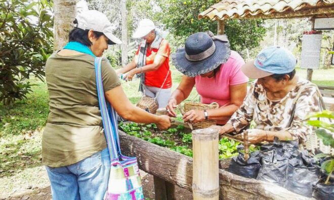 Salento: Coffee Tour at Finca El Ocaso - Reservation Options and Gift Vouchers