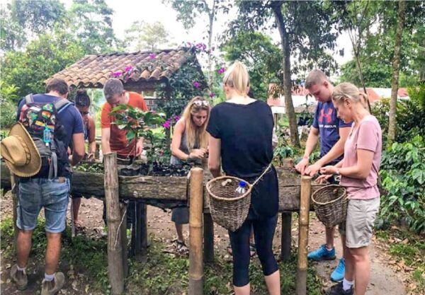 Salento: Coffee Tour at Finca El Ocaso - Pricing Details and VAT Information