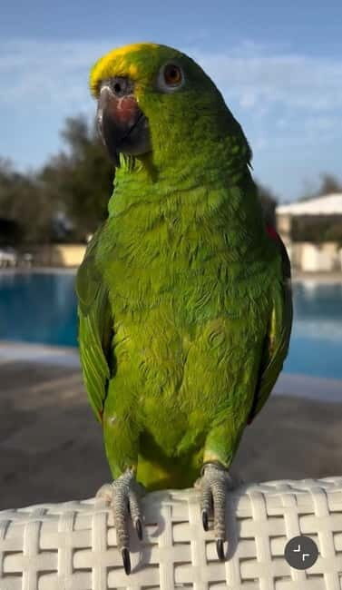 Salento: farm visit with local product tasting - Exploring the Farm Experience