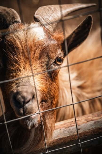 Salento: farm visit with local product tasting - What We Think About the Value