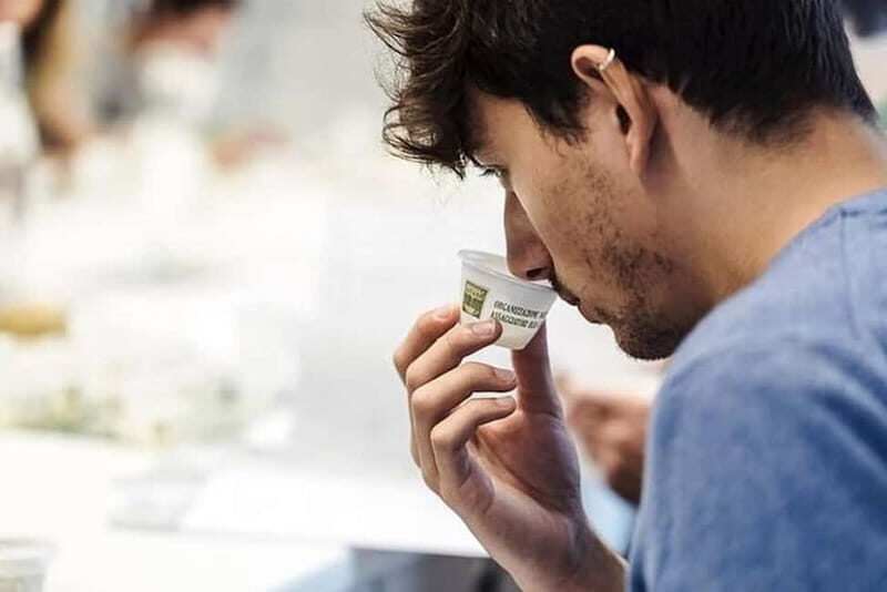 Salento: Olive Oil Mill Walking Tour with Tastings - The Value of This Tour