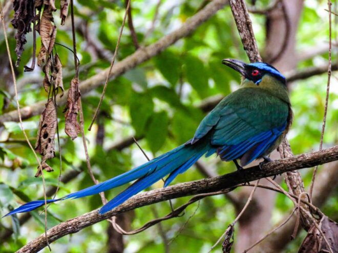Salento: Private Birding Tour for Beginners and Intermediate - Meeting Point Details