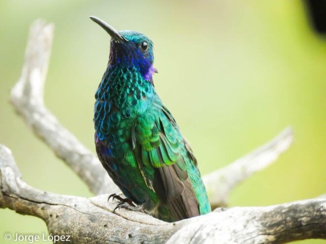 Salento: Private Birding Tour for Beginners and Intermediate - Location Highlights