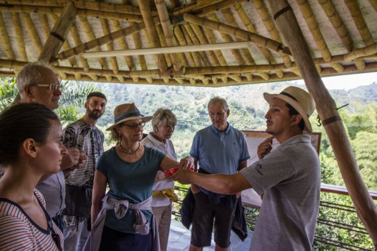 Salento: Private Hacienda Venecia Coffee Tour - Tour Details