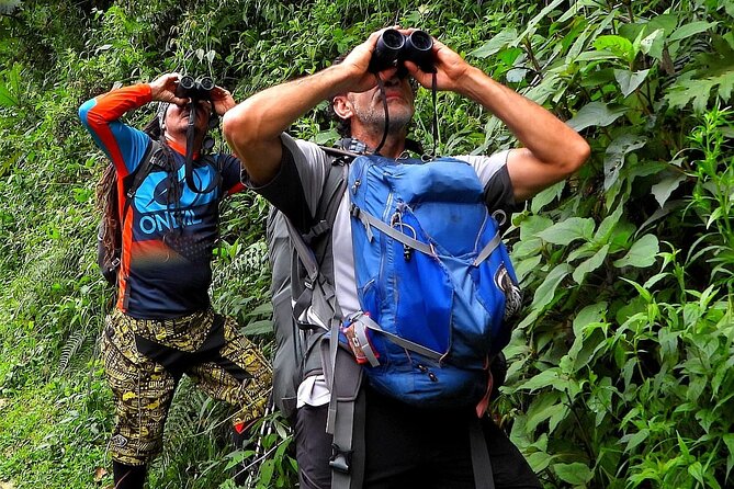 Salento Small-Group Camino Nacional Birdwatching Tour - Tour Details