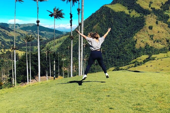 Salento Valle Del Cocora and Filandia - Travel Itinerary for Filandia Exploration