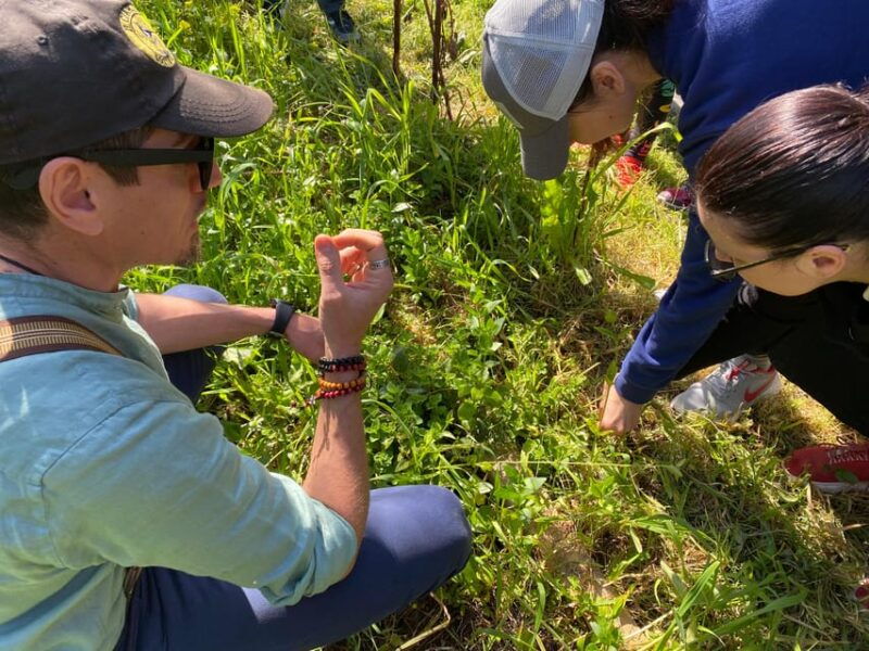 Salento: Wild Herbs to Drink - From Plant to Glass - The Guides: Elijah and Betty