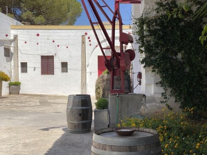 Salento: Winery Tour and Tasting - Meeting Point