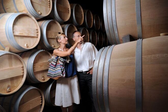 Salento: Winery Tour and Tasting - Directions