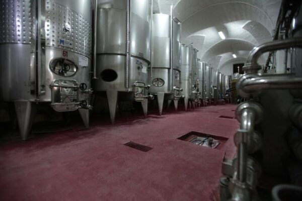 Salento: Winery Tour and Tasting - Accessibility