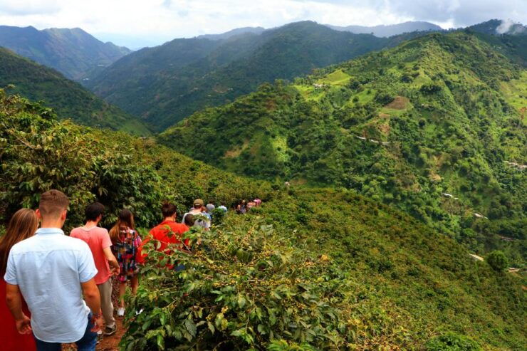 Salgar: La Manchuria Coffee Reserve Guided Tour With Lunch - Tour Highlights