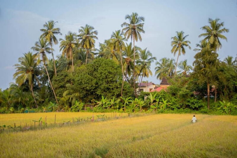 Saligao: Village Saunter through Saligao - Who Will Love This Tour?