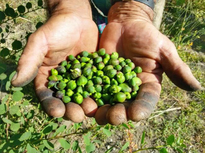 Salina Capers Experience - Reserve and Cancellation