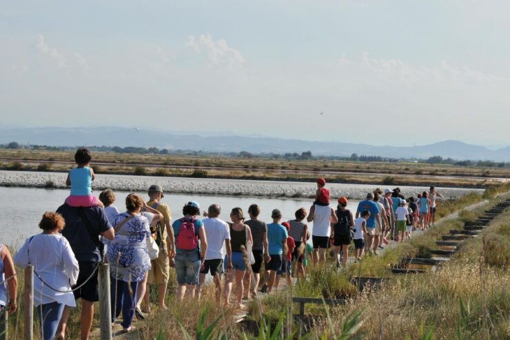 Salina Di Cervia: by Boat in Search of Flamingos - Tour Details