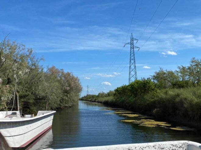 Salina Di Cervia: by Boat in Search of Flamingos - Inclusions