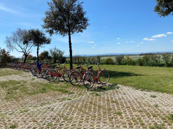 Salina Di Cervia: Salt Flats, Biking, and Brunch - Meeting Point and Time
