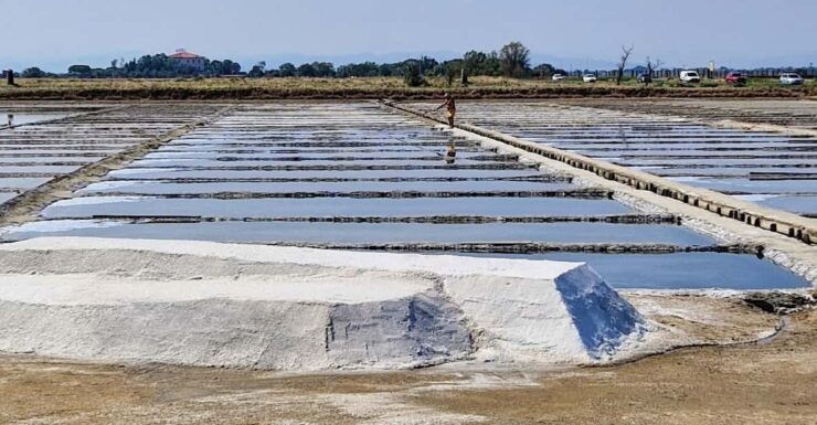 Salina Di Cervia: Traces of a Roman Salt Pan - Good To Know
