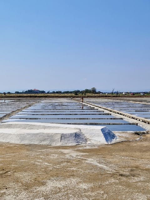 Salina Di Cervia: Traces of a Roman Salt Pan - Guided Tour Experience