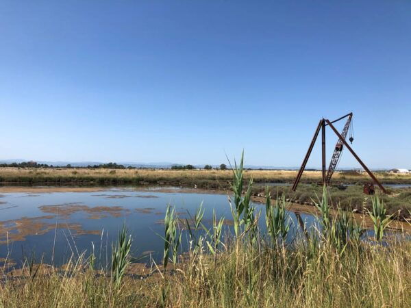Salina Di Cervia: Traces of a Roman Salt Pan - Frequently Asked Questions