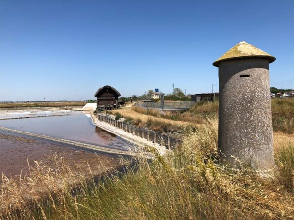 Salina Di Cervia: Traces of a Roman Salt Pan - The Sum Up