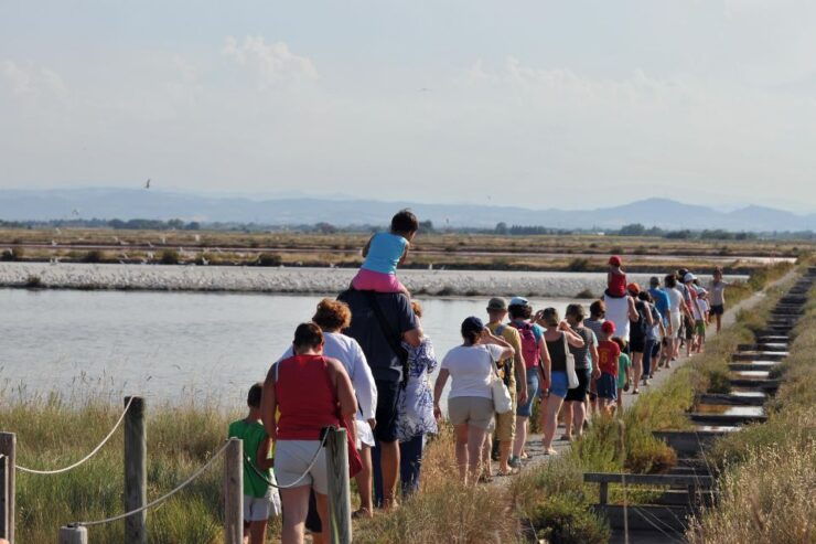 Salina Di Cervia: Walk Along the Way of the Nests - Activity Details