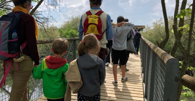 Salina Di Cervia: Walk Along the Way of the Nests - Reviews