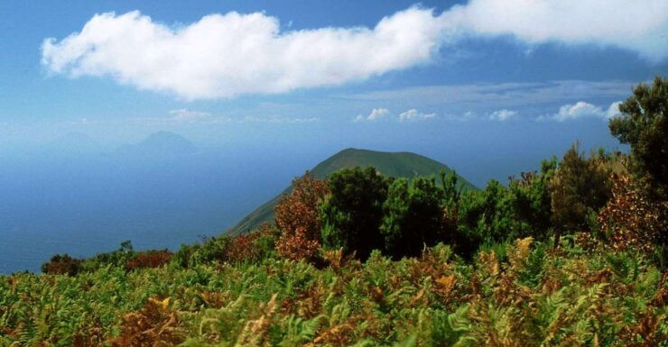 Salina: Monte Fossa Delle Felci Guided Trekking Tour - Experience Highlights