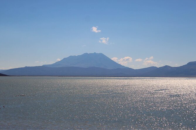 Salinas and Aguada Blanca Reserve Tour From Arequipa - Lakes and Bird Observation