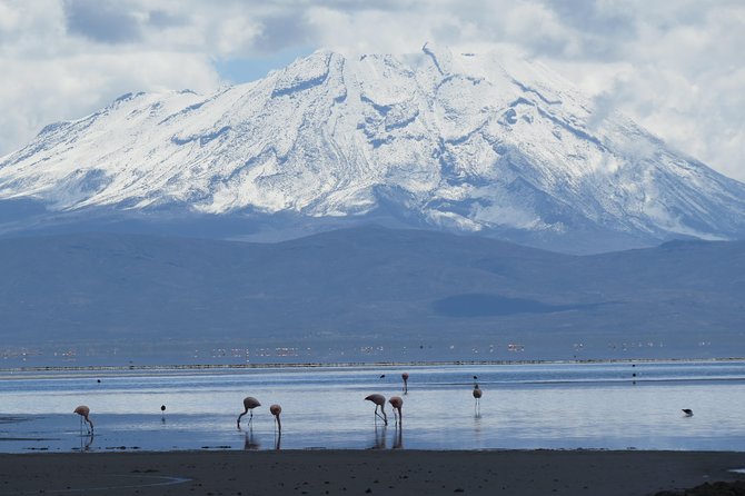 Salinas Lake - National Reserve PRIVATE TOUR Min 2 People - Questions and Pricing