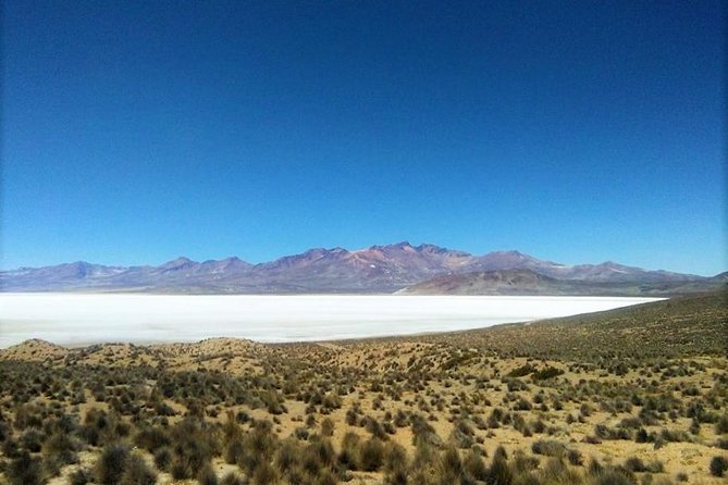 Salinas Salt Lagoon Private Tour - Day Trip From Arequipa - Tour Highlights