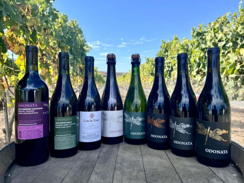 Salinas Valley, CA: Wine tasting experience - A No-Frills Look at the Salinas Valley Wine Tasting Experience