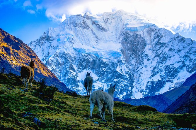 Salkantay to Machu Picchu Luxury Trek 5 Day - Common Questions