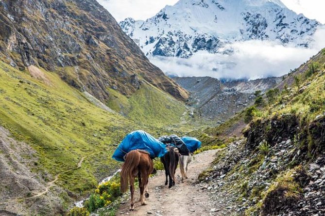 Salkantay Trek 4 Days to Machu Picchu - Best Trek in Peru - Common Questions