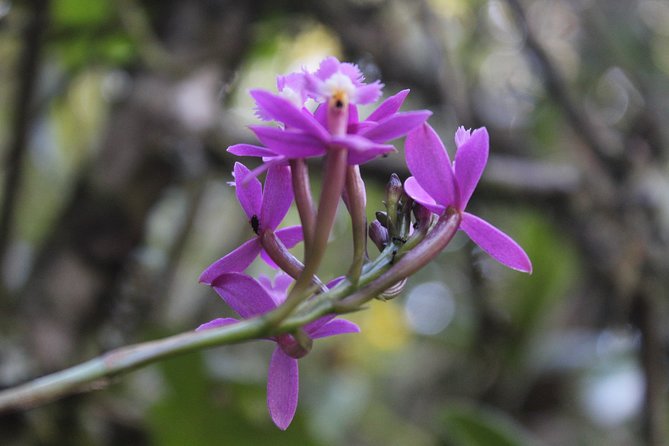 Salkantay Trek & Inca Trail to Machu Picchu (7D/6N) - The Sum Up