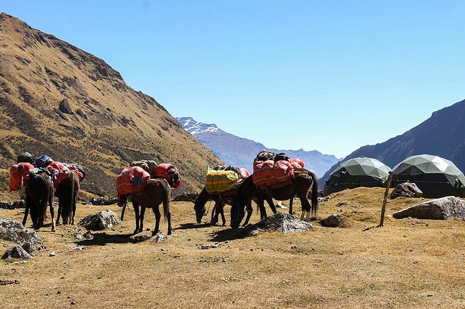 Salkantay Trek Private Service - Additional Services
