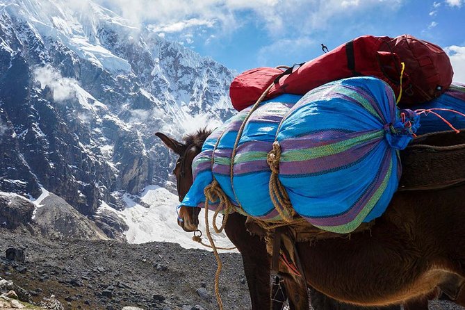 Salkantay Trek to Machu Picchu (4 Days) - Overview of Salkantay Trek