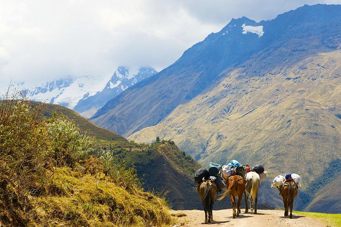 Salkantay Trek to Machu Picchu (4 Days) - Day 1: Departure and Arrival at Salkantay