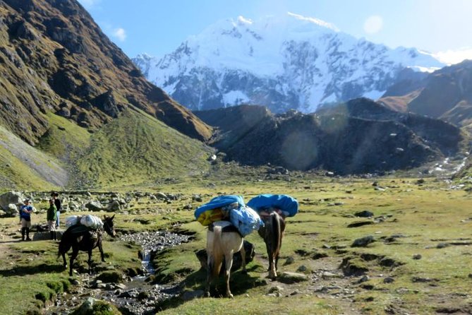 Salkantay Trek To Machu Picchu 5 Days - Explore Ancient Inca Citadel of Machu Picchu